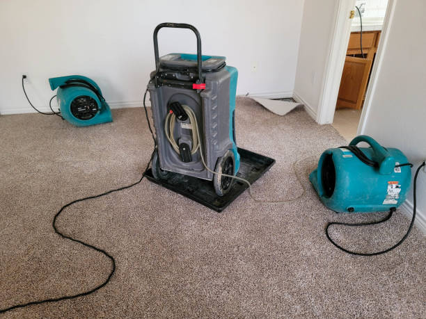 Best Water damage restoration experts  in St Augusta, MN