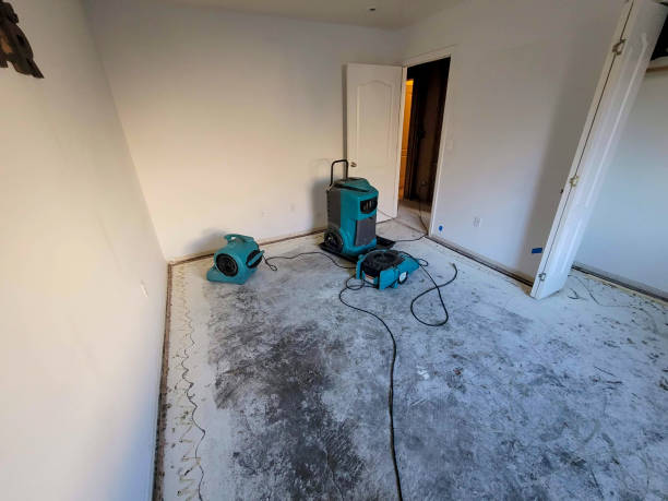 Best Flood damage cleanup  in St Augusta, MN