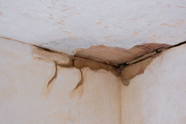 Water damage restoration experts in St Augusta, MN
