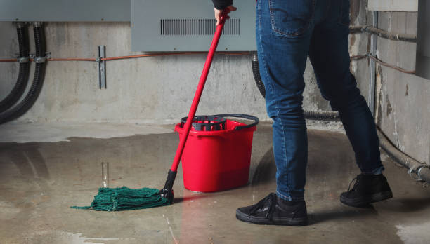 Water damage restoration insurance claims in St Augusta, MN