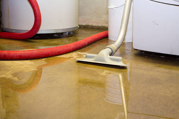Best Basement water damage restoration  in St Augusta, MN