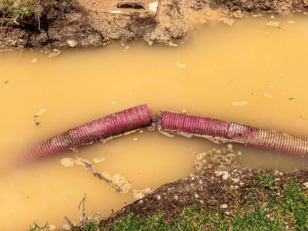 Best Water damage mitigation services  in St Augusta, MN