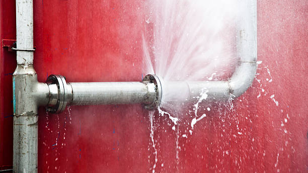 Best Flooded house restoration  in St Augusta, MN
