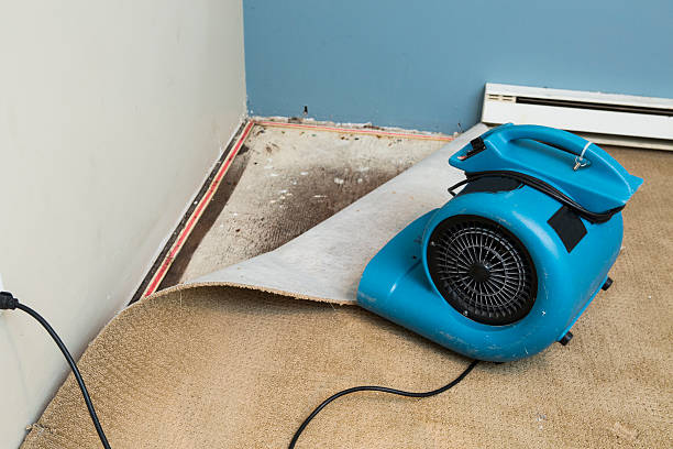 Carpet water damage restoration in St Augusta, MN